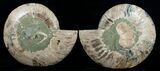 / Inch Split Ammonite Pair - Crystal Pockets #5215-1